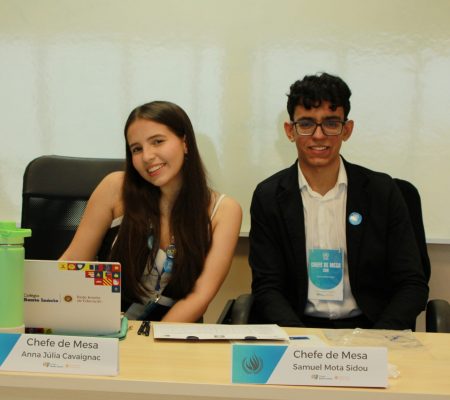 III SIMULAÇÃO DA ORGANIZAÇÃO DAS NAÇÕES UNIDAS (SONU) 2025