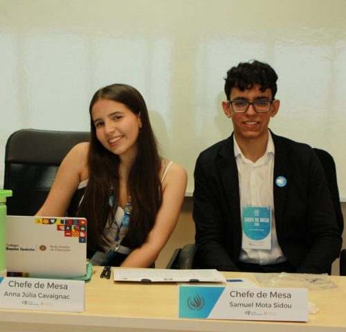 III SIMULAÇÃO DA ORGANIZAÇÃO DAS NAÇÕES UNIDAS (SONU) 2025